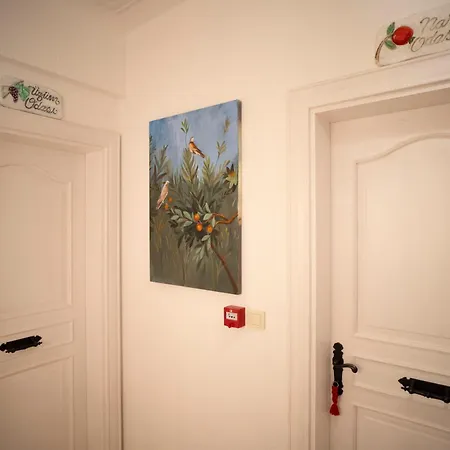 Отель Boutique Burgaz *