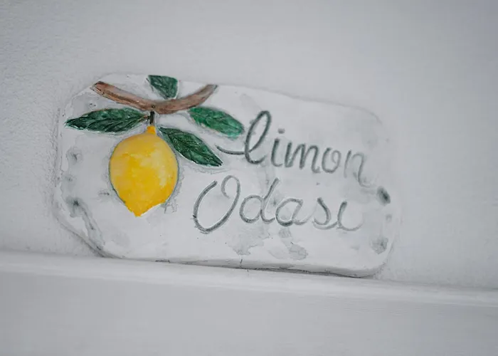 B&y Burgaz * سلجوك