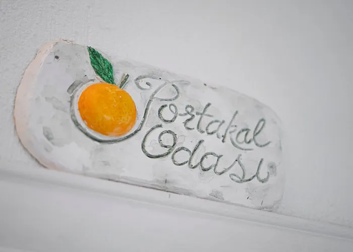 B&y Burgaz سلجوك